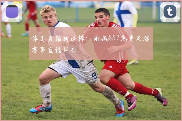 体育直播新选择：雨燕857免费足球赛事直播评测