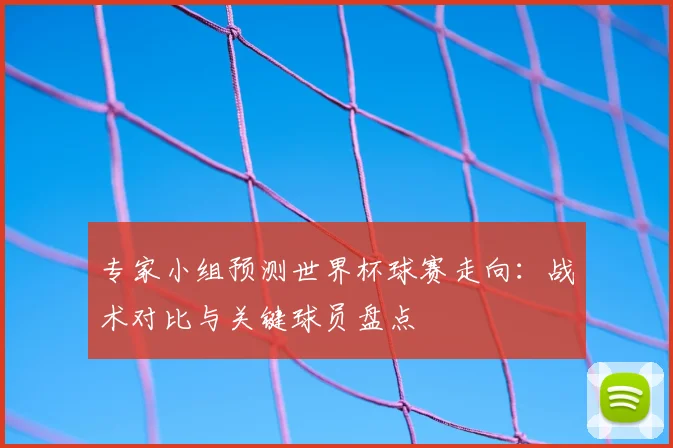 专家小组预测世界杯球赛走向：战术对比与关键球员盘点
