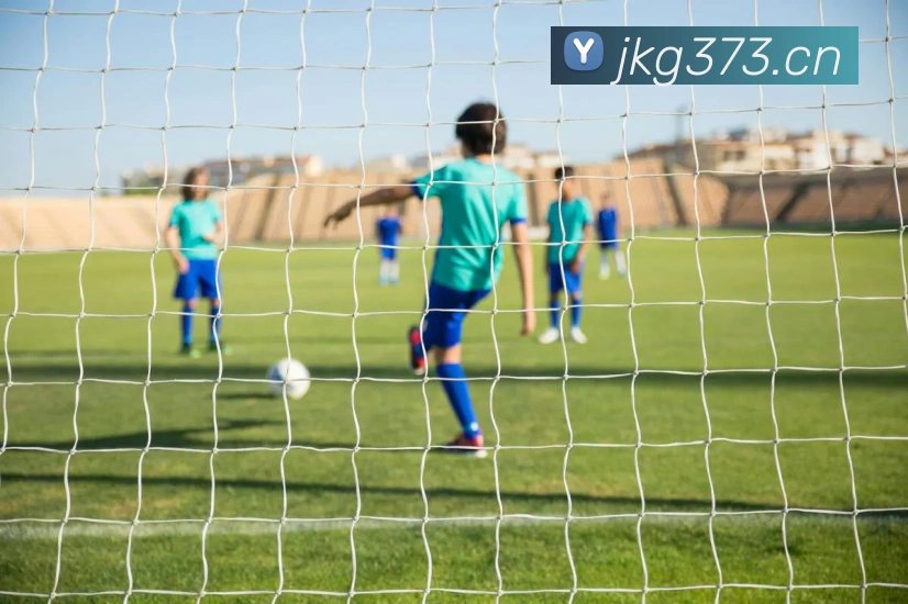 星空体育官方网页入口平台生态图